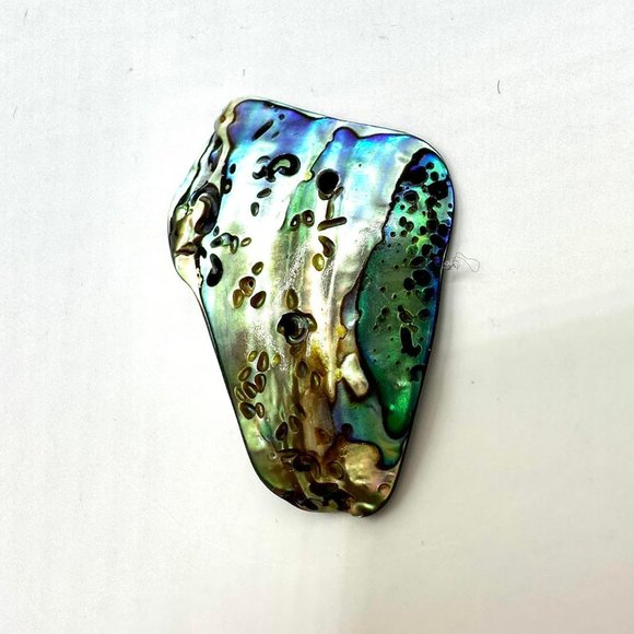 1.5" Abalone Shell Ocean Sea Pendant Holographic Beach - Picture 1 of 8